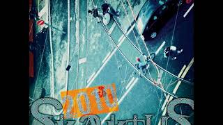 Skaktus - 2010 (cel album)