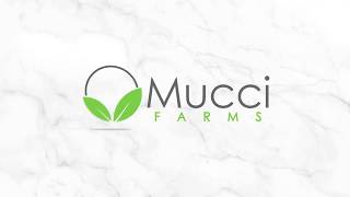 AndNowUKnow - Mucci Trailer March 2018