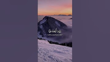 القران الكريم راحة نفسية تلاوة خاشعة حالات واتساب قران كريم 🩵💜❤️
