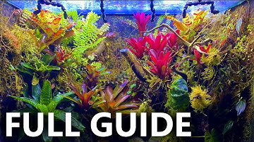 How to Set-Up a Terrarium at Home┃FULL GUIDE