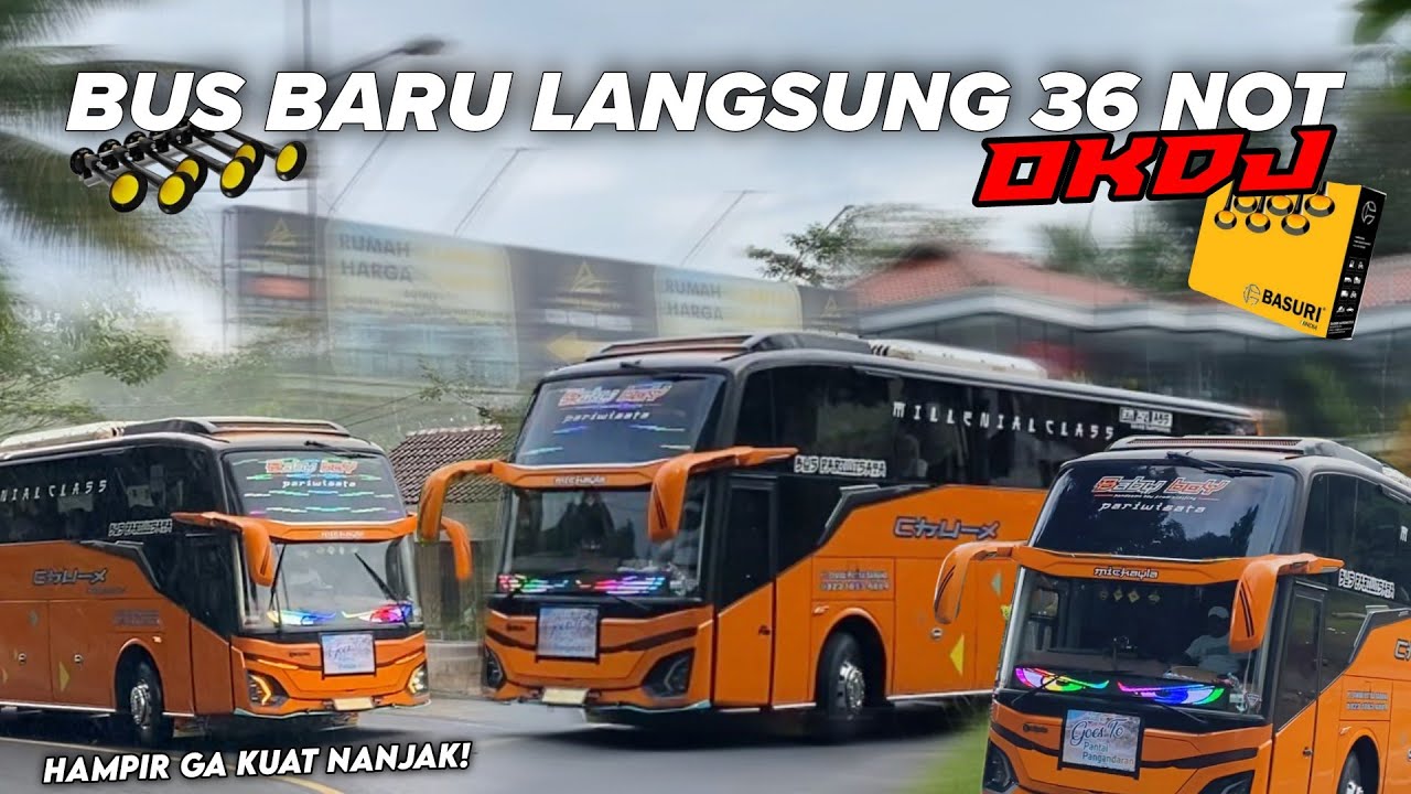 BUS BARU LANGSUNG GACOR‼️CHU-X OKDJ FULL BASURI SEPANJANG JALAN