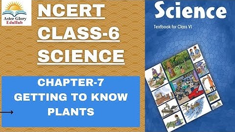 NCERT Class- 6 Science Chapter-7  Getting To Know Plants