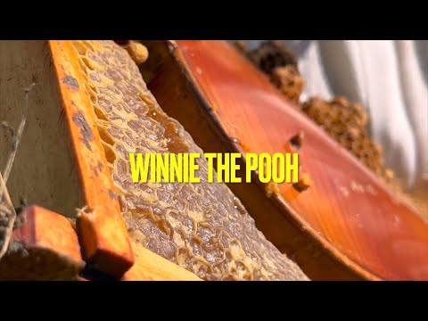 Winnie the Pooh: Blood, Honey, and Violins