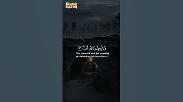 يقول يا ليتني قدمت لحياتي #سورة_الفجر #ياسر_الدوسري #trend #اكسبلورر #explore #trending #قرآن #لايك