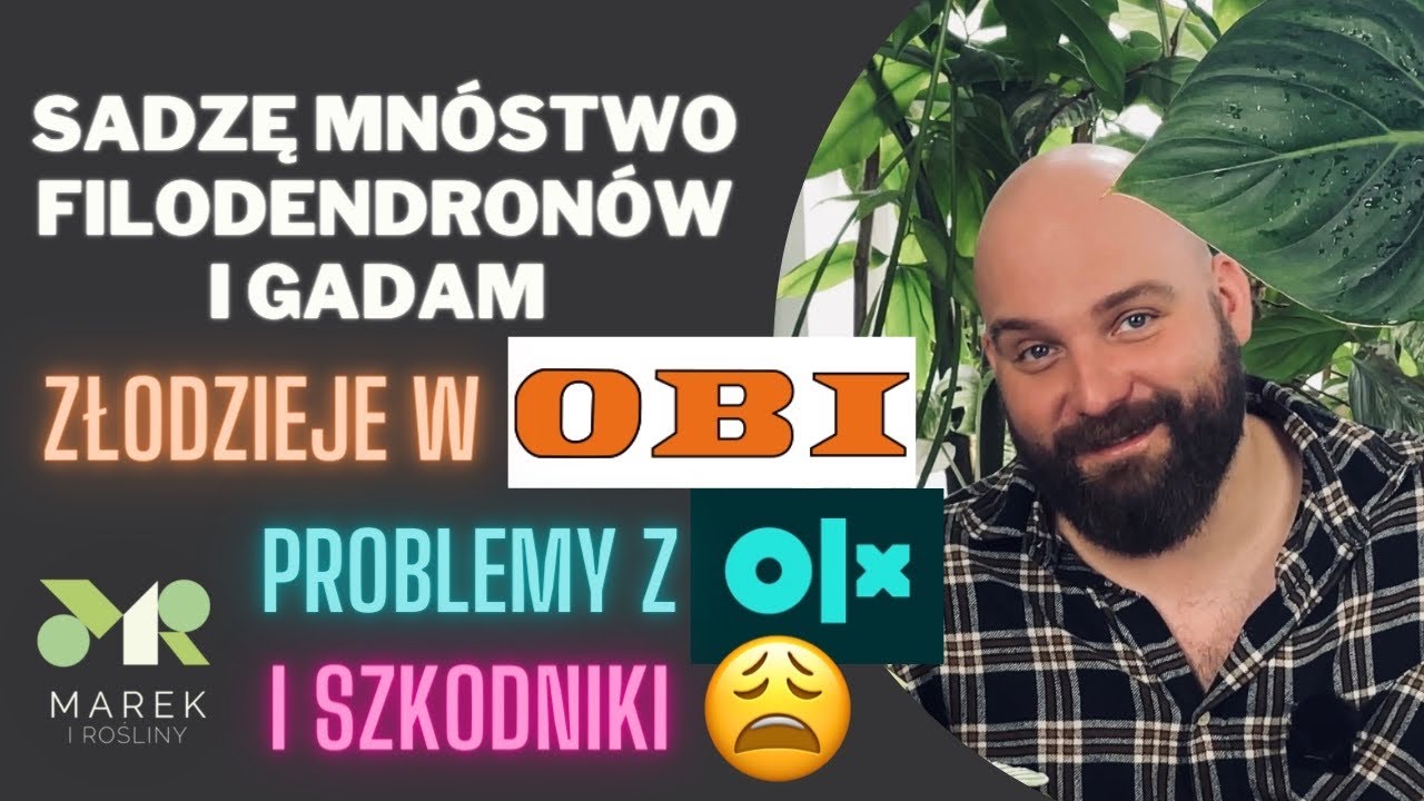 Sadzę mnóstwo filodendronów i gadam. Złodzieje w OBI, problemy z OLX i szkodniki to główne tematy