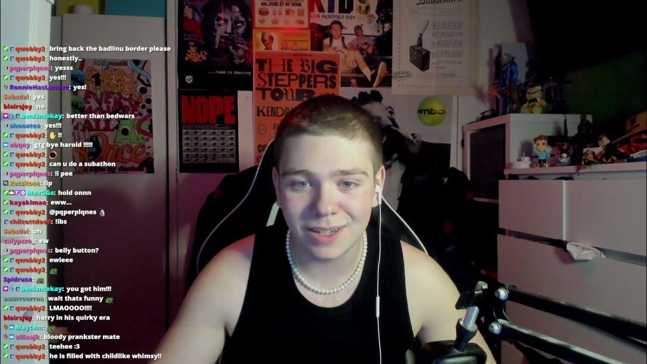 say 3 in chat if you see this|AverageHarry Archive|25th January 2023