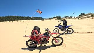 WILD CRASHES! LAST RIDE Up Banshee Hill Before Closure | DIRT BIKE DIARIES EP. 318