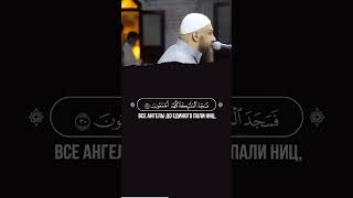 📖 Аль-Хиджр | 22-44 | 🎙 Чтец - حازم سيف | Hazem Seif