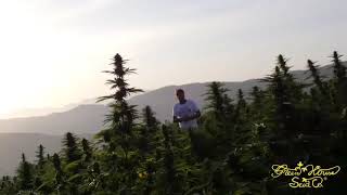 Doing a fantastic job last year in Morocco