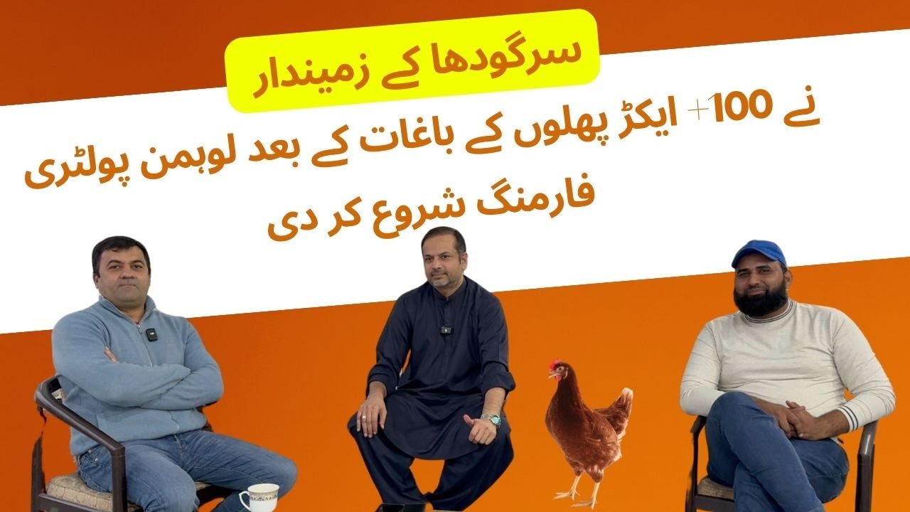 Landlord of Sargodha with 100+ Acres of Fruit Gardens Started Lohmann Poultry Farming