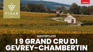 I 9 Grand Cru di Gevrey-Chambertin