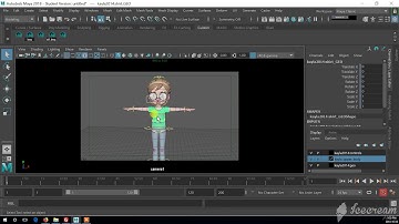 Maya Display Layer hiding upper body