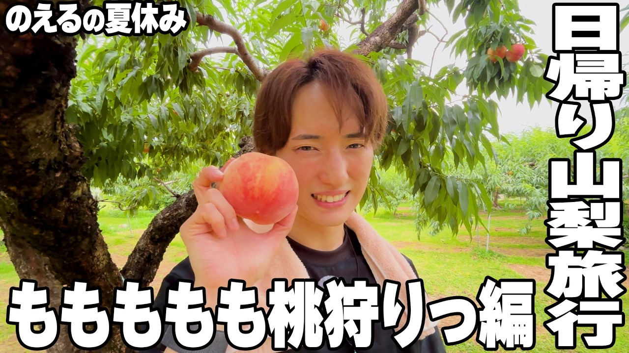 【のえすき夏休み企画②】桃食べ放題！桃狩りだ！