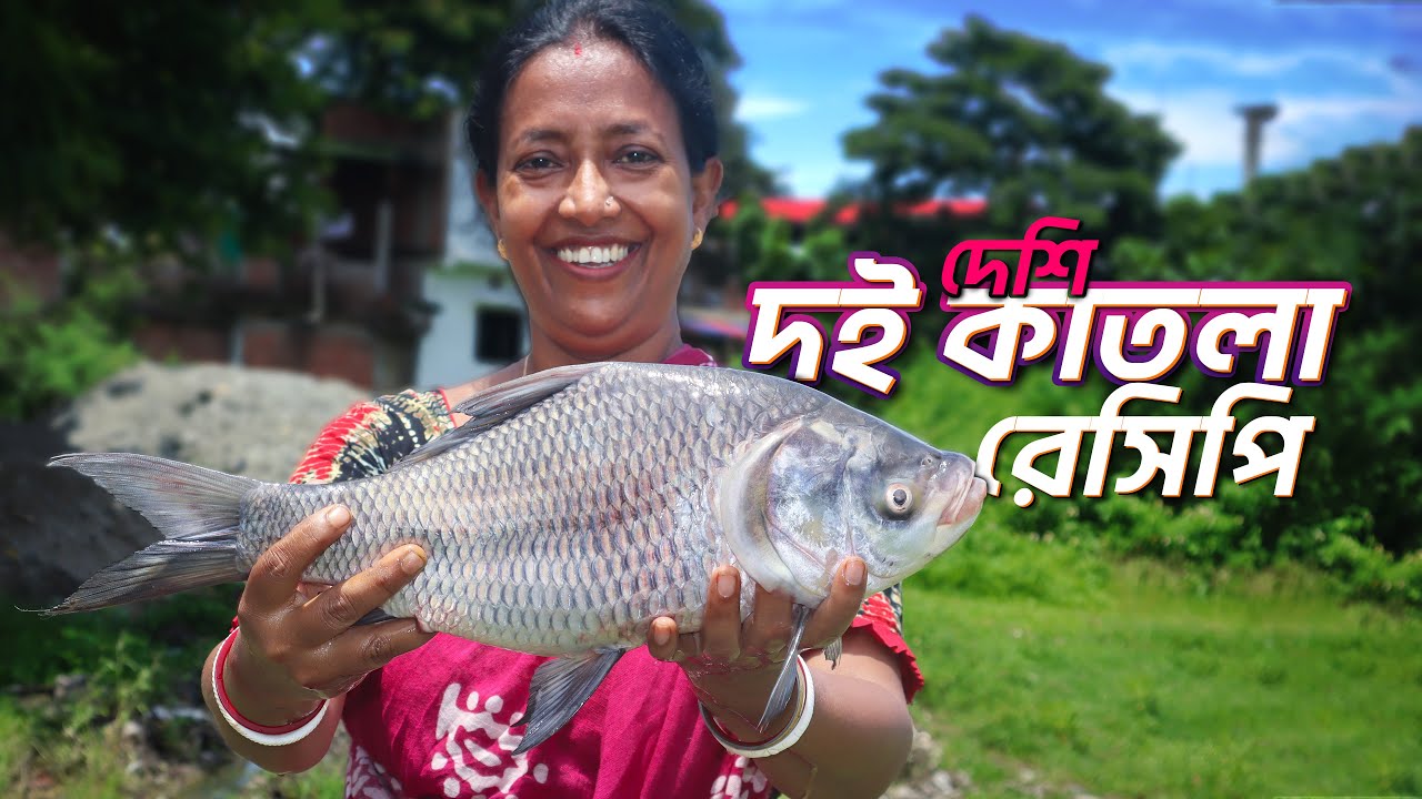 বিশাল সাইজের কাতলা মাছ দিয়ে দই কাতলা করলাম | Doi Katla recipe