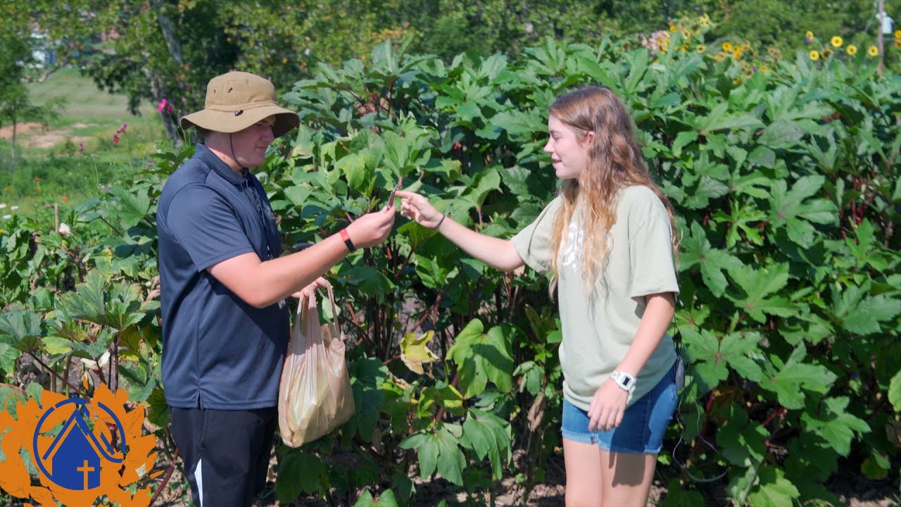 What's Growing Sept. 2022 on Fletcher Academy Farm? YouTube