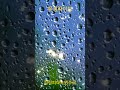 잠잘때듣는 피아노, Relaxing Piano Instrumental Playlist
