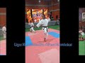 GanKaku-La Grulla sobre la roca