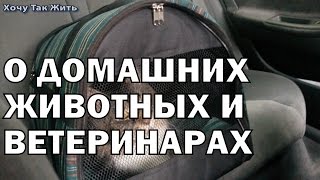 О домашних животных и ветеринарах О домашних животных и ветеринарах