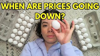 WHY ARE EGGS SO EXPENSIVE? | 2025 Egg Epidemic in the United States Why Are Eggs So Expensive 8 A Dozen Here S What You Can Do