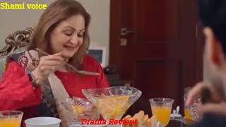 Apina Room Ma Bathi Painting Kr Rahi Hadd New Upcoming Episode Review By Shami Voice