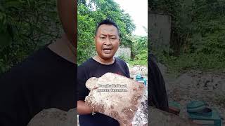 Kita pasti mati #lucu #memengakakkocak #comedy