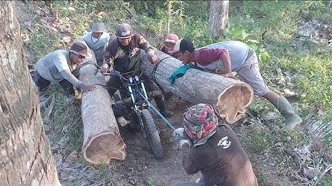 Ojek Palang Kayu Jati Terbaru Blitar Ternekat Dan terekstrem di dunia