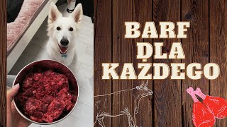 DIETA BARF może być naprawdę PROSTA, WYGODNA i TANIA!  BARF jak zacząć? | BARF dla alergika