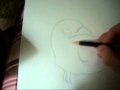 Drawing a bird