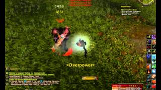 Molten WoW speed hack report!