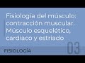 Fisiología del músculo: contracción muscular. Músculo esquelético, cardiaco y estriado.