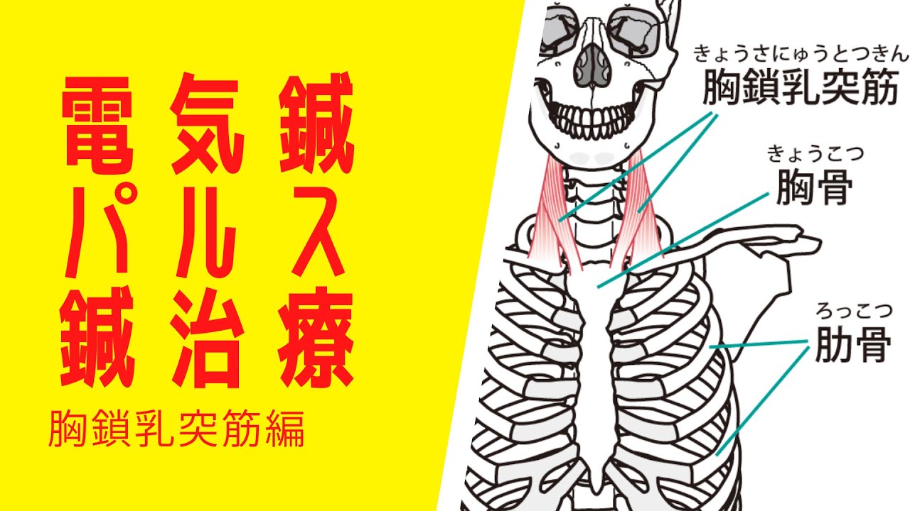 胸鎖乳突筋の電気鍼治療 肩こりなどの電気鍼 二日市の杏鍼灸整骨院
