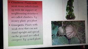 Class 6 science chapter 7 video 1