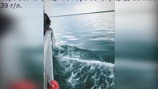 Озеро Яровое. Алтайский край. Заграница не сравнится. Озеро Яровое. Алтайский край. Заграница не сравнится.