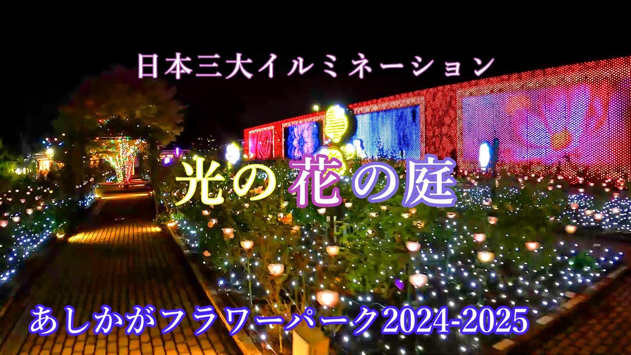 【あしかがフラワーパーク】イルミネ－ション2024ー2025散策【4K】Stroll through Ashikaga Flower Park Illumination 2024.