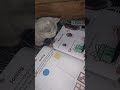 بلی بار بار آپ کے گھر کیوں آتی ہے؟ 🐱