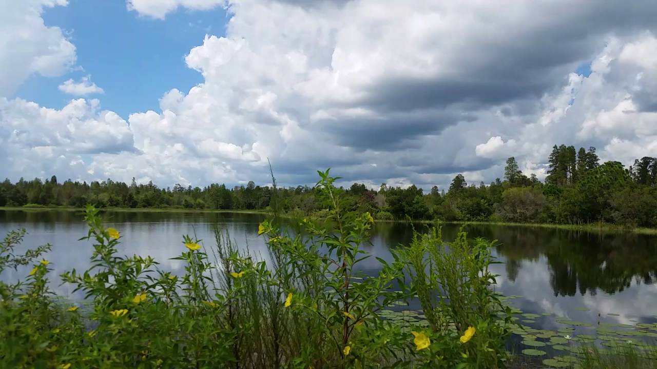 Restoration Lake in Hilochee WMA
