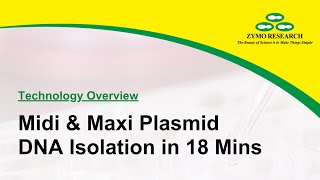 Midi & Maxi Plasmid DNA isolation in 18 minutes – ZymoPURE™