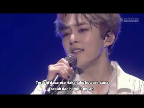 EXO-CBX - ' PAPER CUTS ' LIVE MAGICAL CIRCUS 2019 at Saitama Super Arena [LYRICS+TERJEMAHAN]