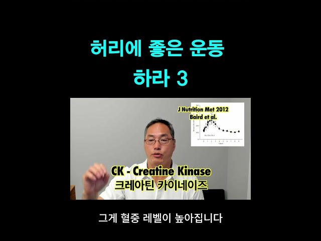 허리에 좋은 운동 하라 3