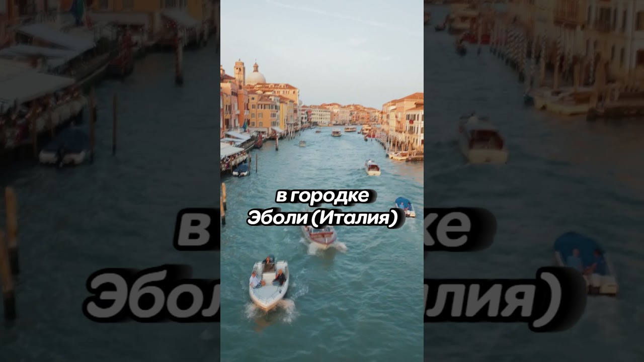 Не целуйтесь за рулём в Италии Эболи 