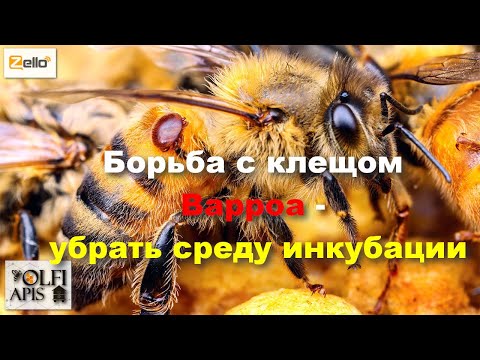 Борьба с клещом