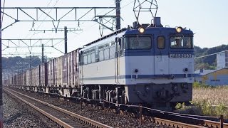 2015/11/28 JR貨物 【5087レ】青プレート EF65-2093[新]号機＋コキ20B 東海道本線