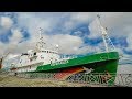 Como FUNCIONA um NAVIO do Greenpeace #Boravê com Mari Fulfaro 🔵Manual do Mundo