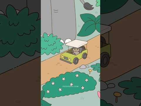 Safari