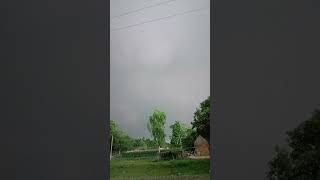 jemon shimuler tula batashe ude re #nature #rainyday #clouds