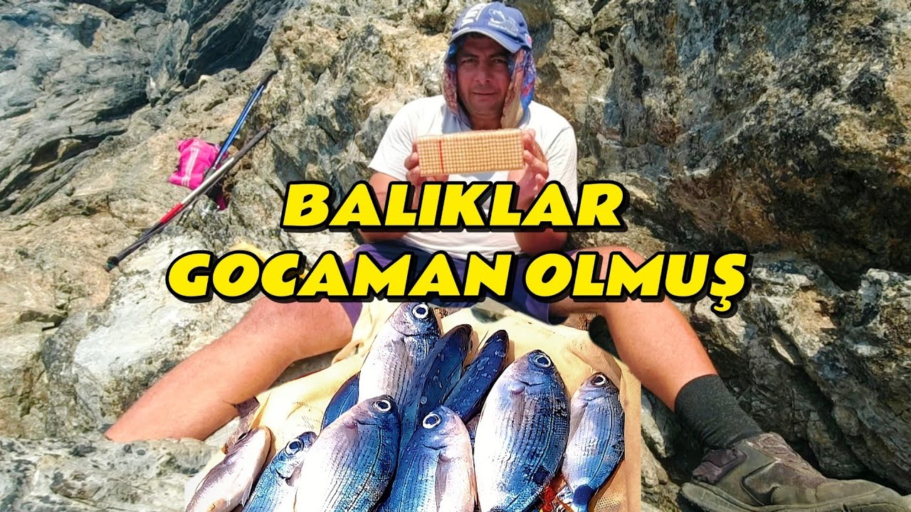 YENİ MERAYI DEV MELANURLAR BASMIŞ balık avı takım bilgisi için açıklamaya bak