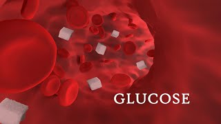 Structure of glucose