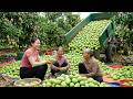 TIMELAPSE: Buying Fresh Mangoes from Highland Villagers and Delivering Them to the Market