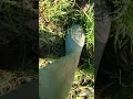 ooh look a football! (part 2)