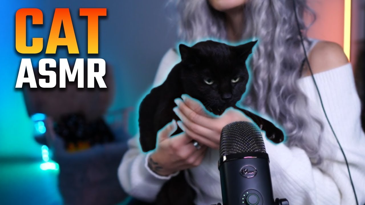 Cat ASMR vol. 2 - YouTube